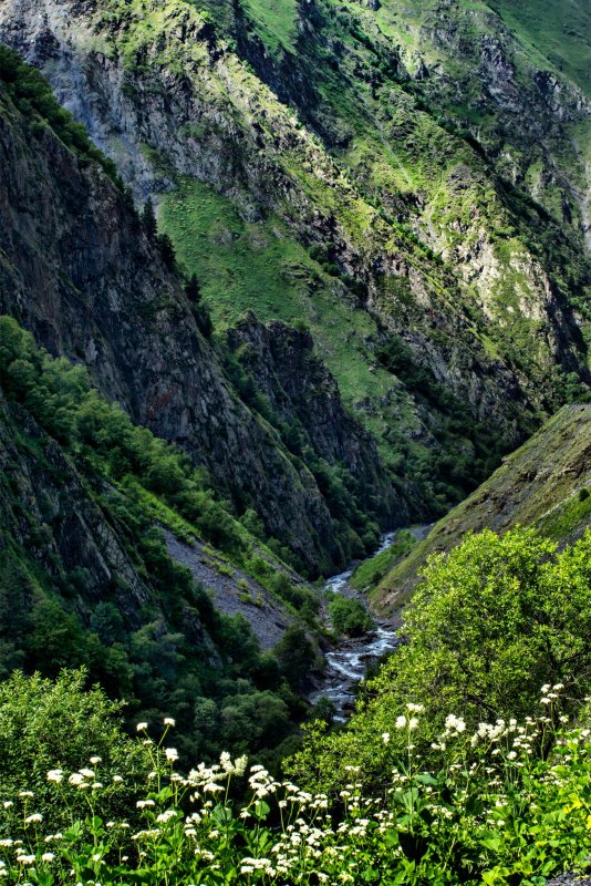 Достопримечательность около Чечни каньон