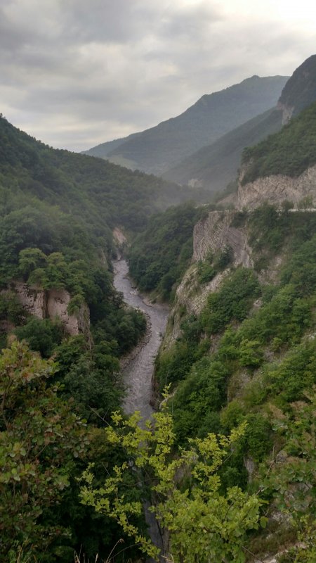 Коргонское ущелье Чарышкого района Алтайского