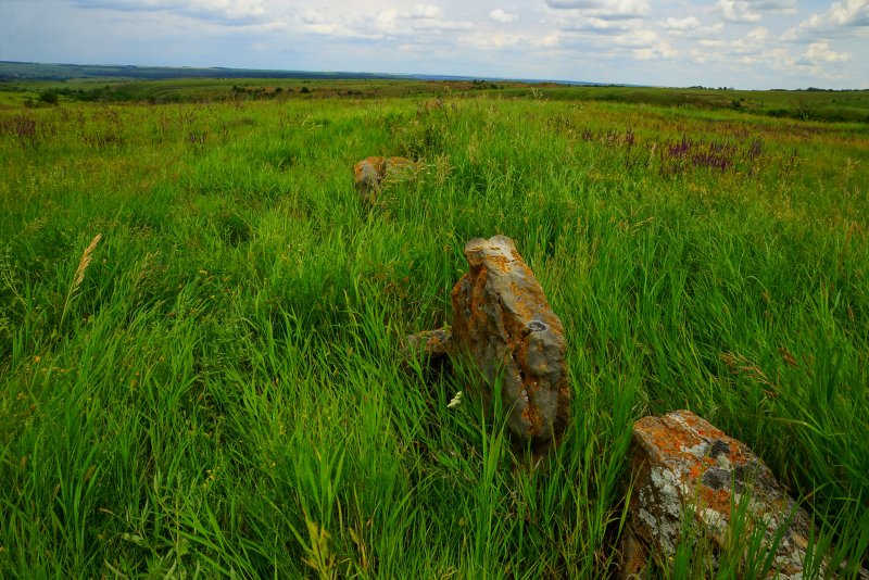 Долина камней Ростовская область