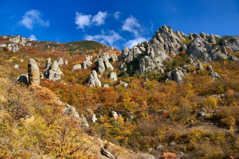 Крым гора Демерджи лучистое
