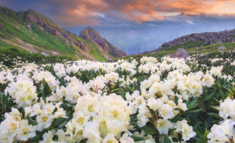 Цветочная Долина, Перуджа, Италия