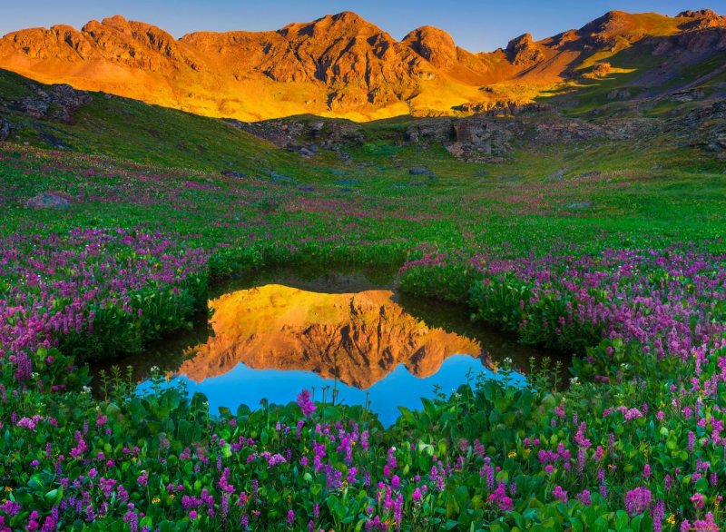 Долина цветов - национальный парк в Гималаях