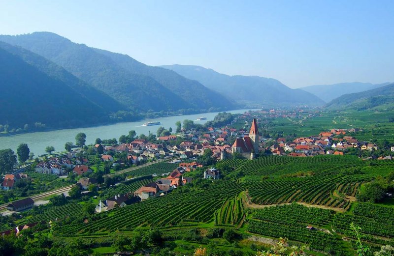 Долина Вахау Австрия виноградники