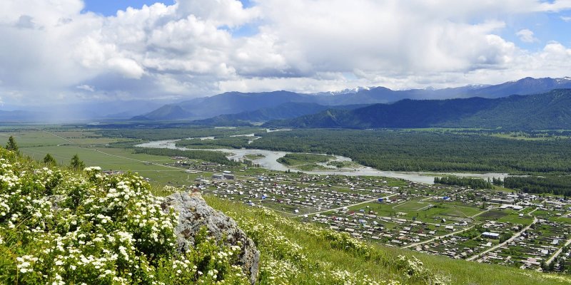 Уймонская Долина горный Алтай