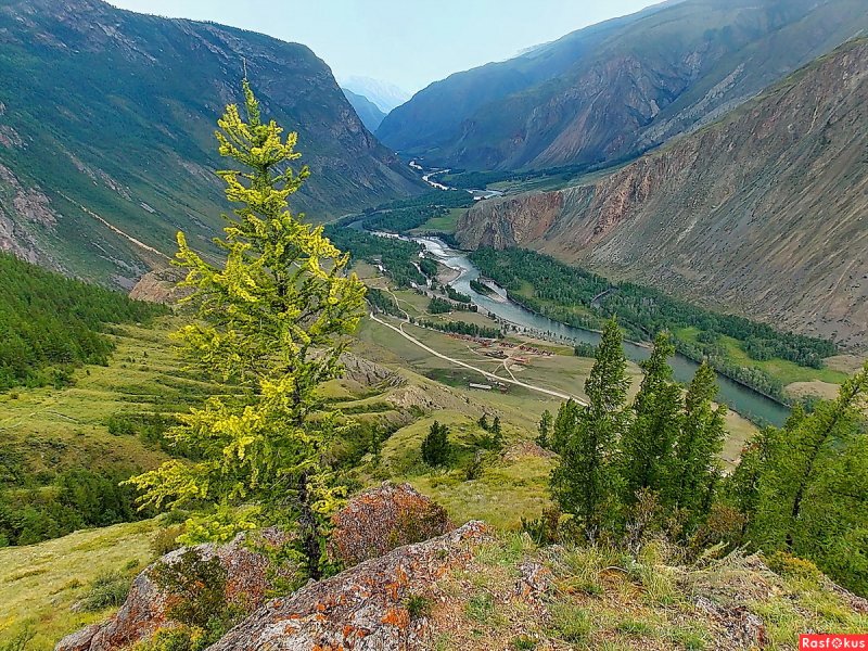Долина Чулышман горный Алтай . Чолчи