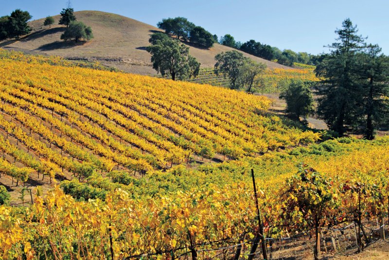 Винодельня just Vineyards & Winery Калифорния