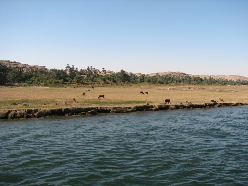 Египет берега Нила