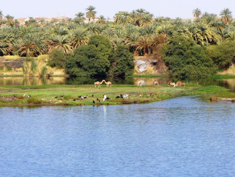 Источники реки Нил