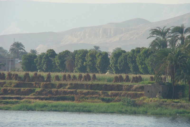 Древний Египет Нил ил