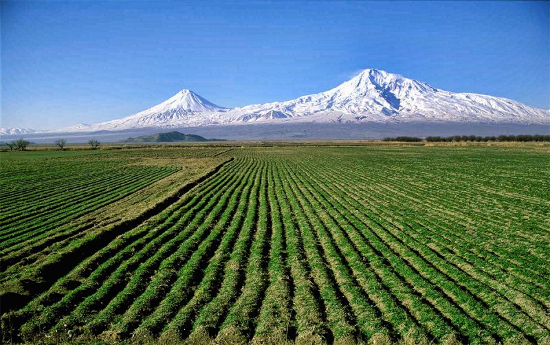 Араратская Долина Ереван