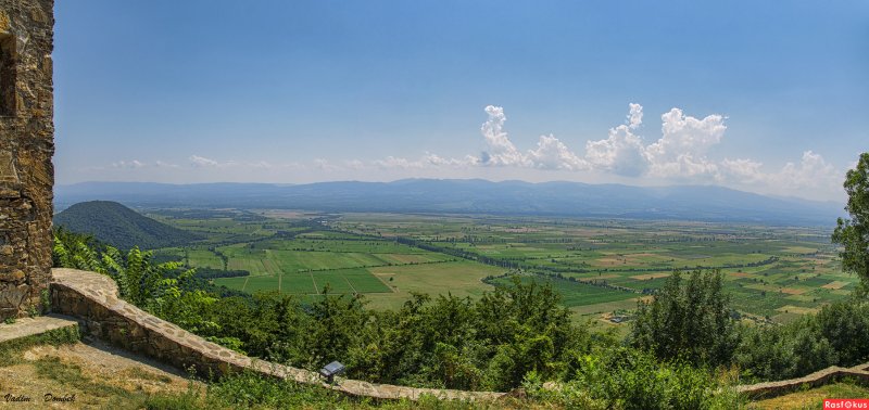Кахетинская Долина Грузия