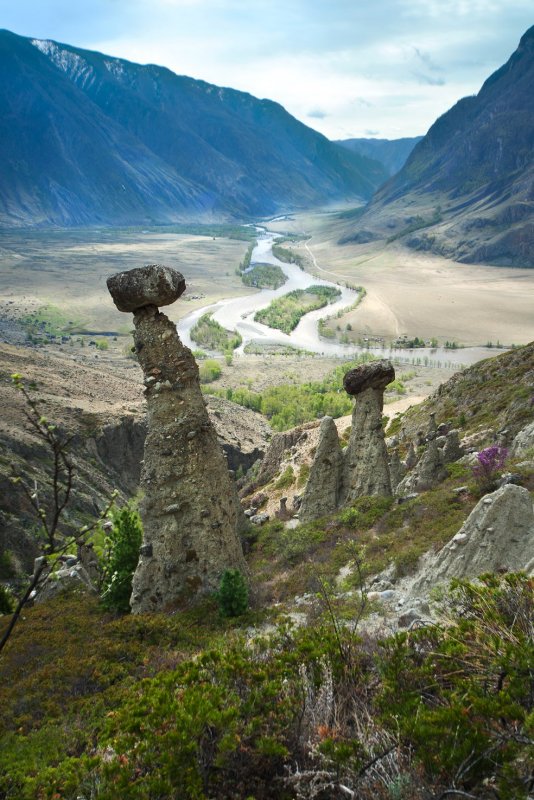 Каменные грибы Алтай Чулышманская Долина