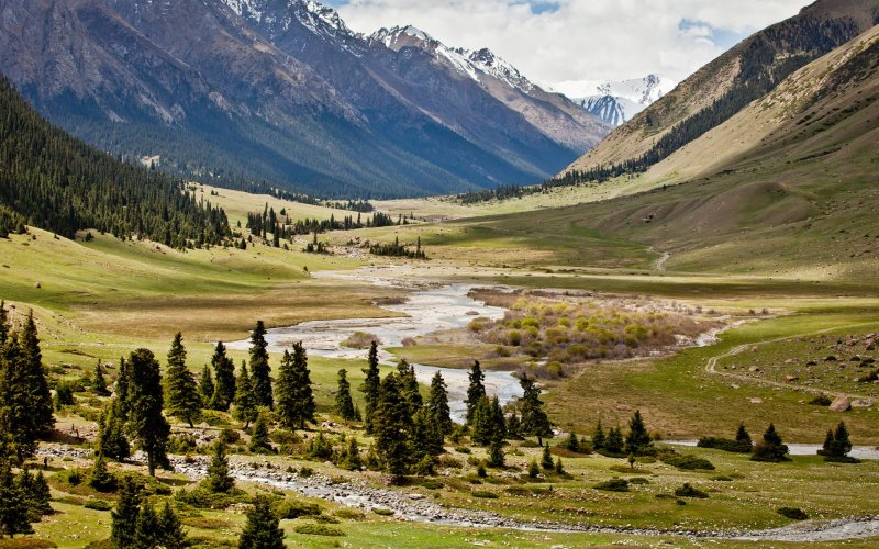 Альпийские Луга Киргизии