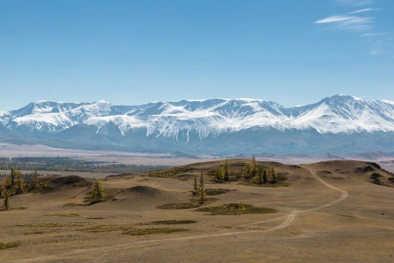 Курайская Долина горный Алтай