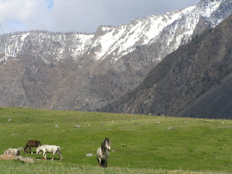 Межгорная Чуйская Долина Кыргызстана
