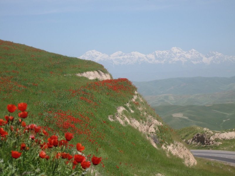 Ферганская Долина Узбекистан