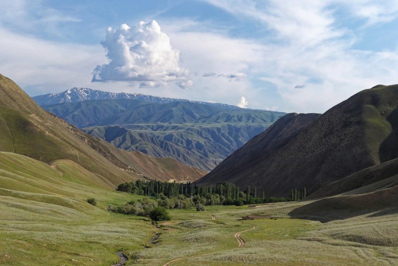 Узбекистан Ферганская Долина горы