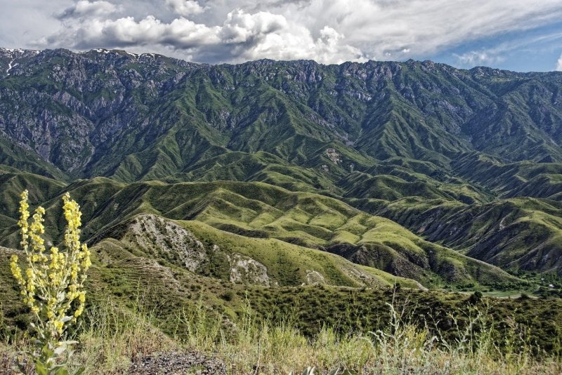 Ферганская Долина Киргизия