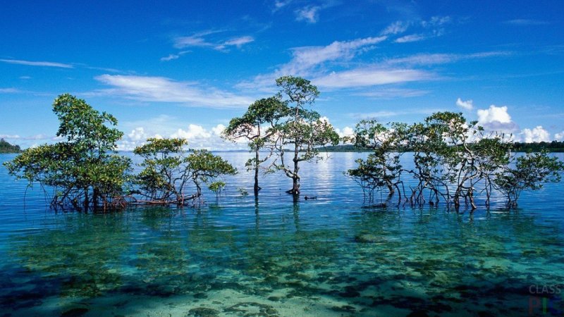 Андаманские острова Индия