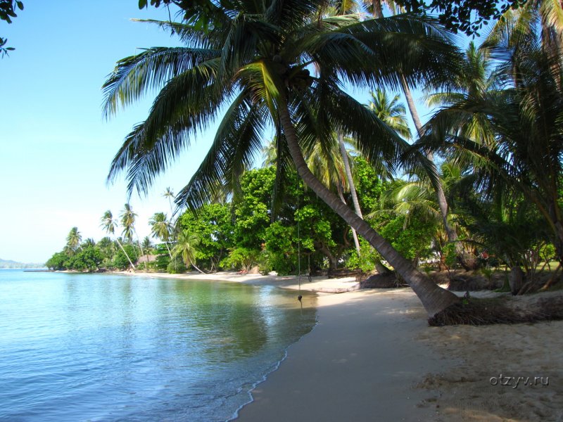 Кокос (остров, Гуам)