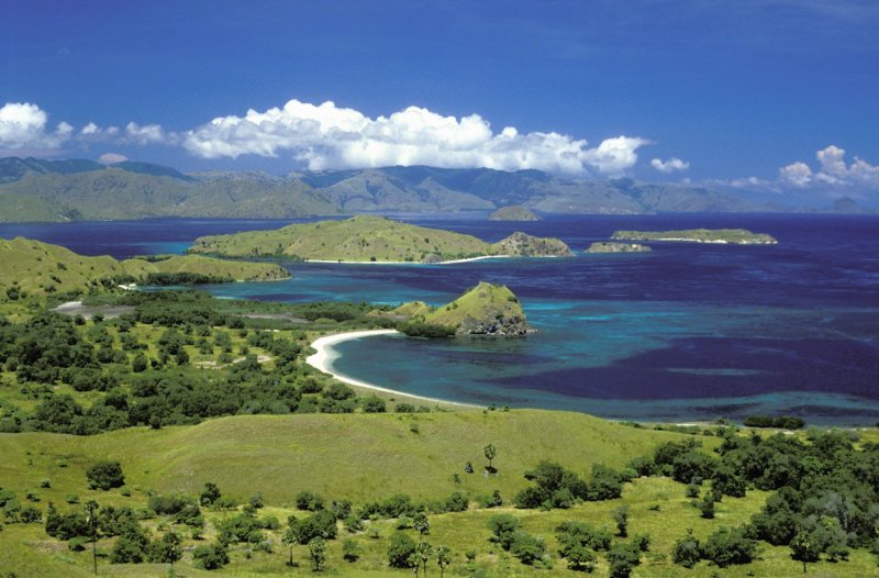 Остров Комодо Индонезия