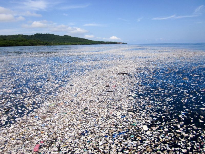 Загрязненные моря
