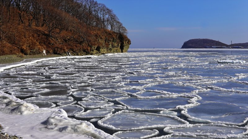 Остров русский Владивосток зима