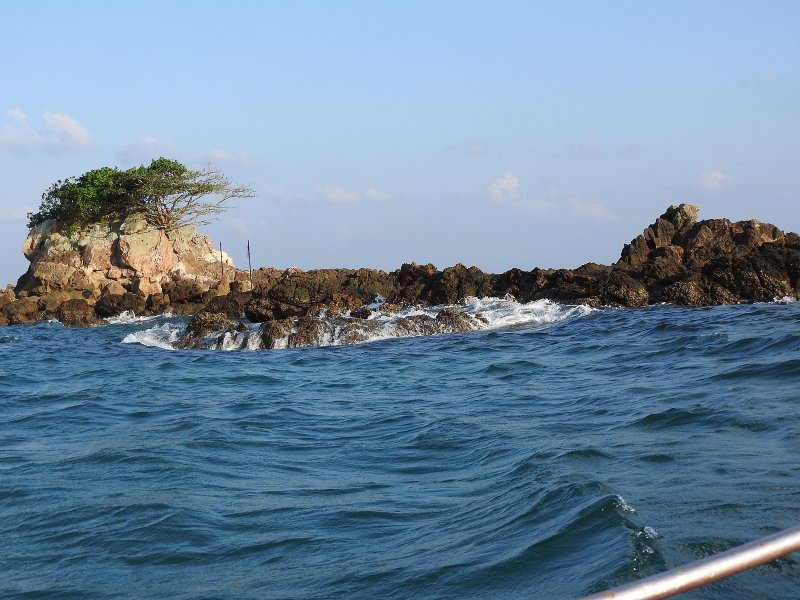 Остров Кеймада-Гранди змеи фото
