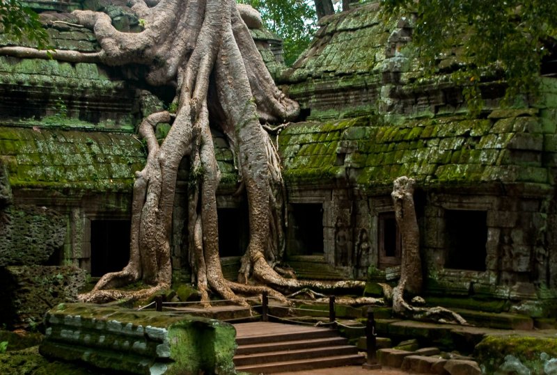 Храм Анджелины Джоли Камбоджа