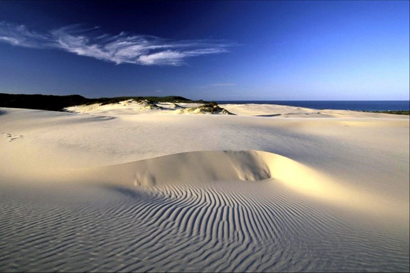 Остров Фрейзер (Fraser Island