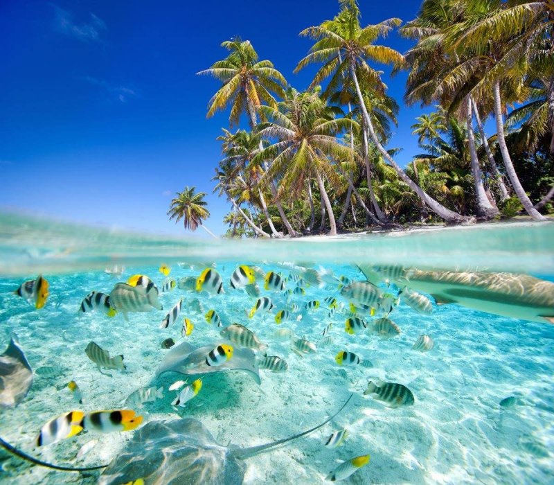 Сейшельские острова океан