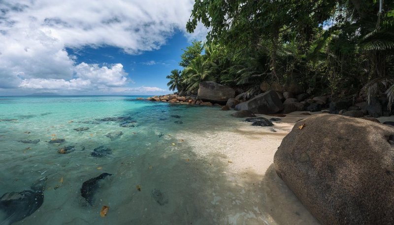 Сейшельские острова побережье фото