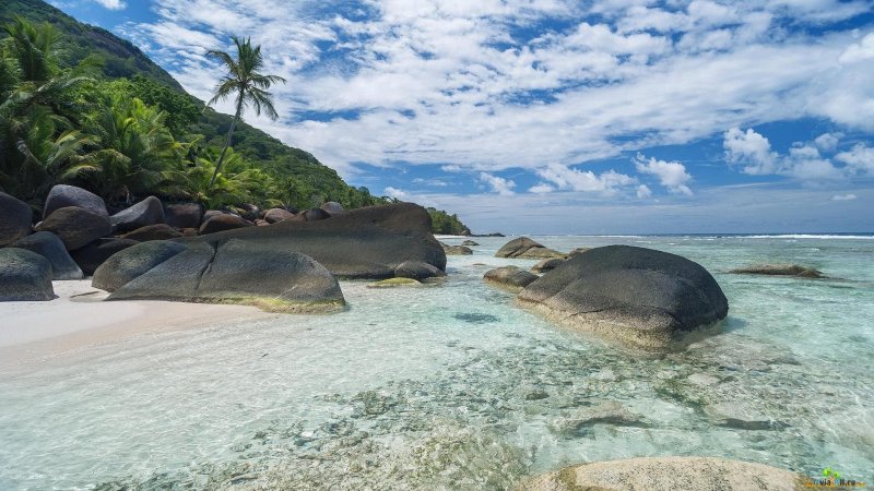 Сейшельские острова берег