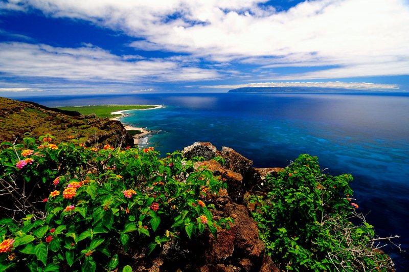 Ниихау Гавайский остров