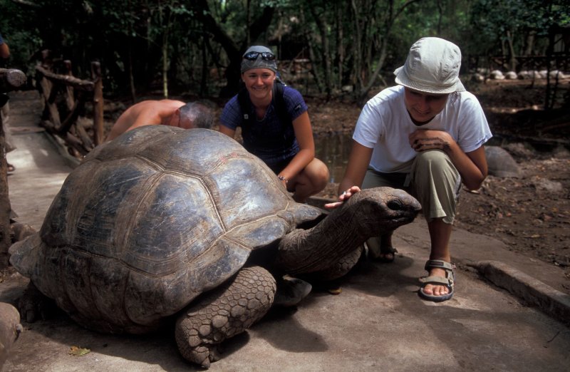 Сейшельские острова черепаха Эсмеральда