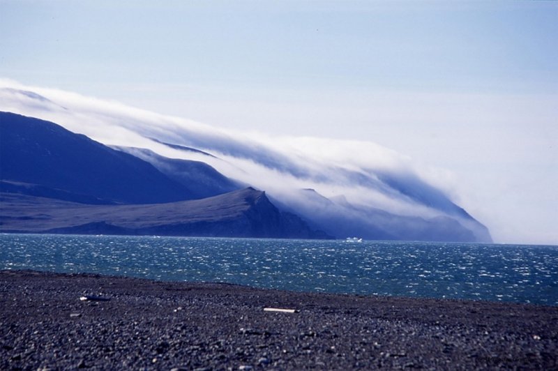 Арктическая тундра на острове Врангеля