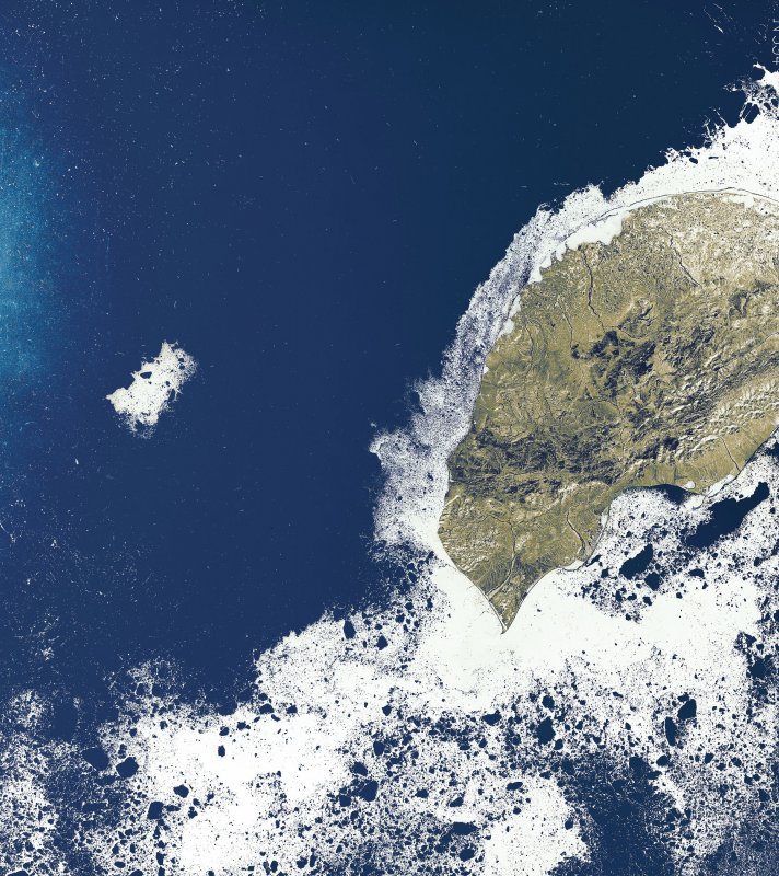 Лежбище моржей на острове Врангеля