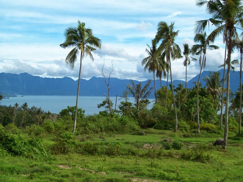 Шри Ланка остров Суматра