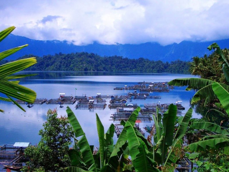 Суматра Индонезия