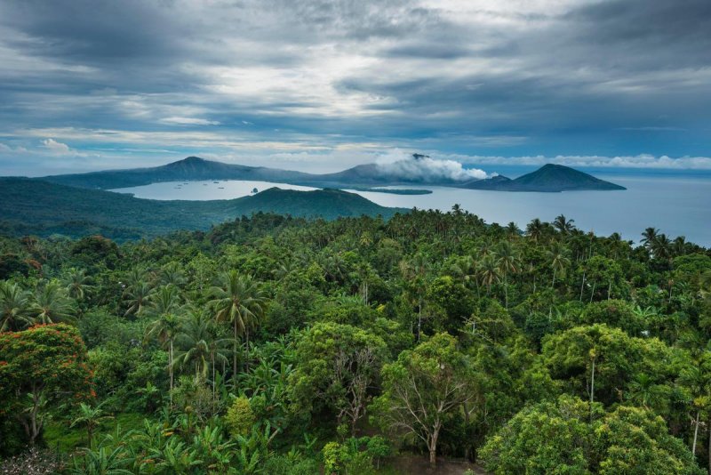Тропические леса Папуа новая Гвинея