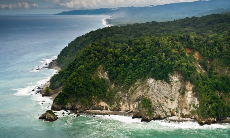Кокос Коста Рика