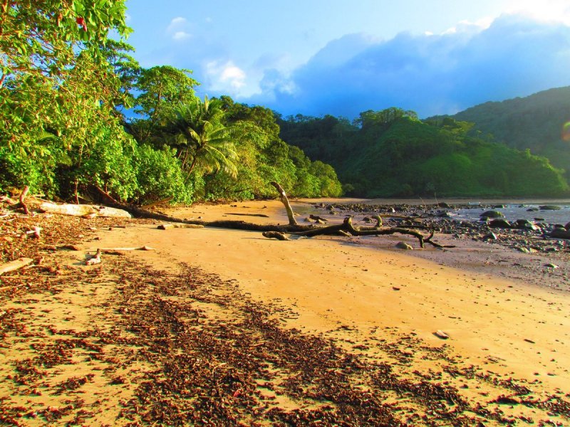Cocos Island Costa Rica