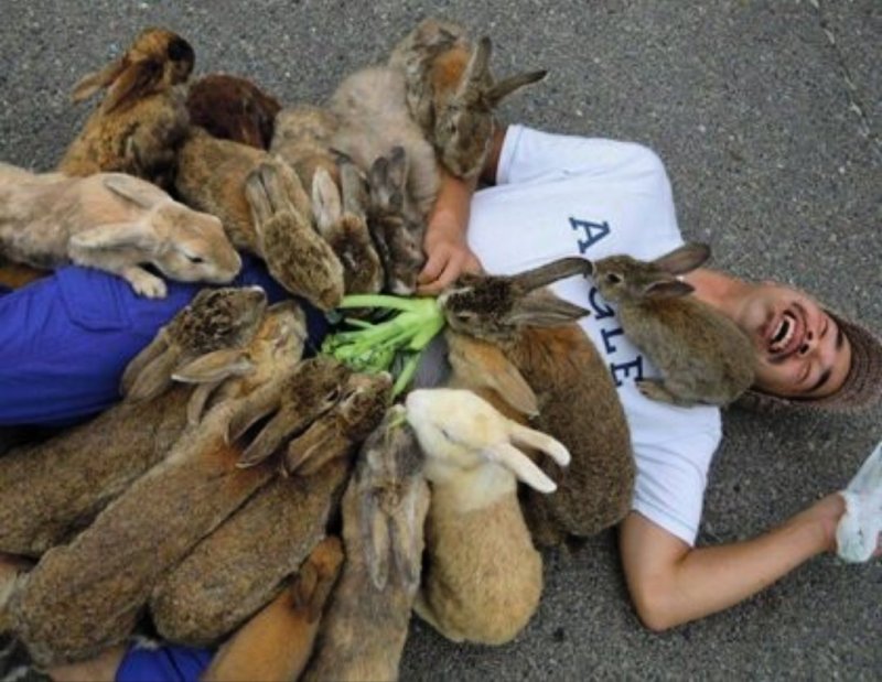 Остров кроликов Таиланд