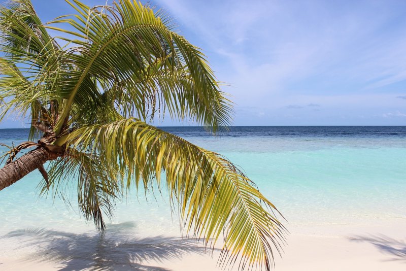 Море пальмы Мальдивы