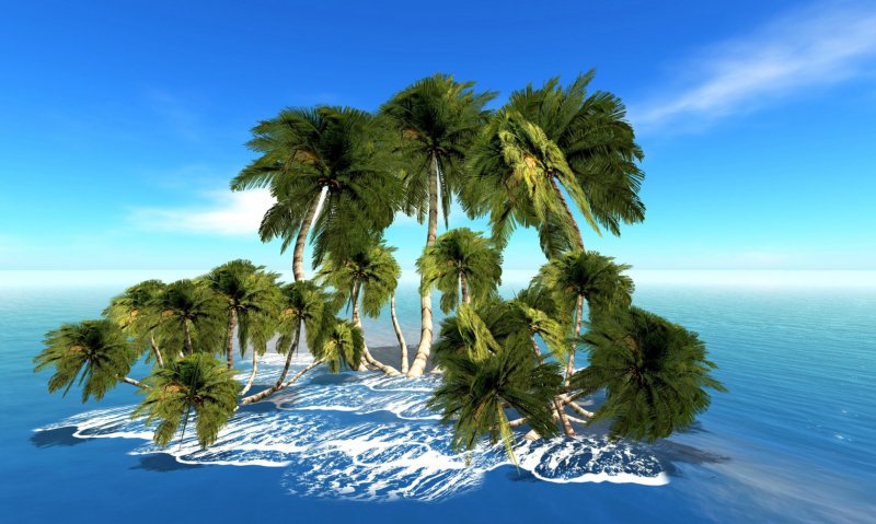 Островок с пальмой