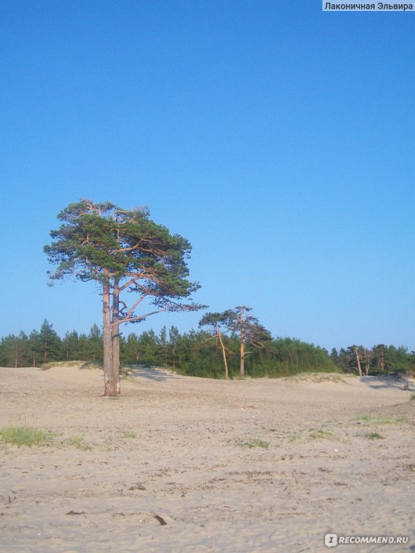 Остров Ягры Северодвинск