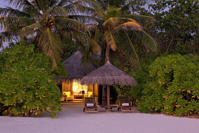 Мальдивы пальмы бунгало