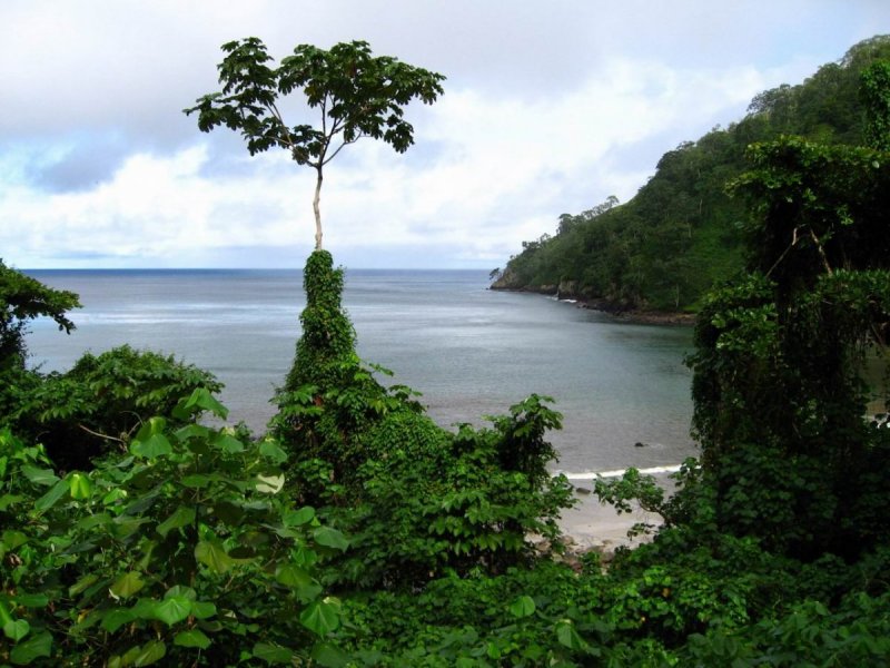 Кокосовый остров Коста Рика