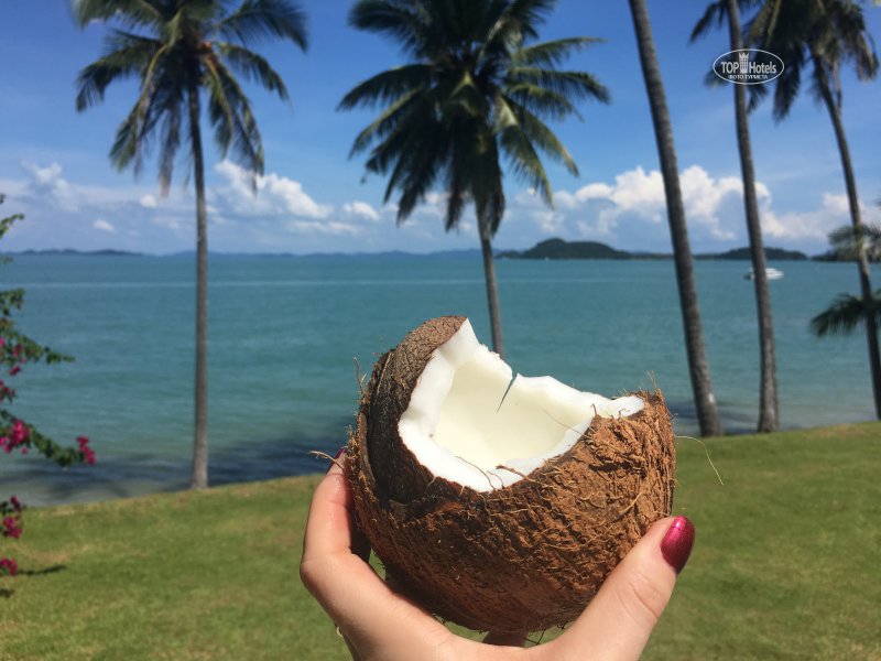 Уэст-Айленд кокосовые острова