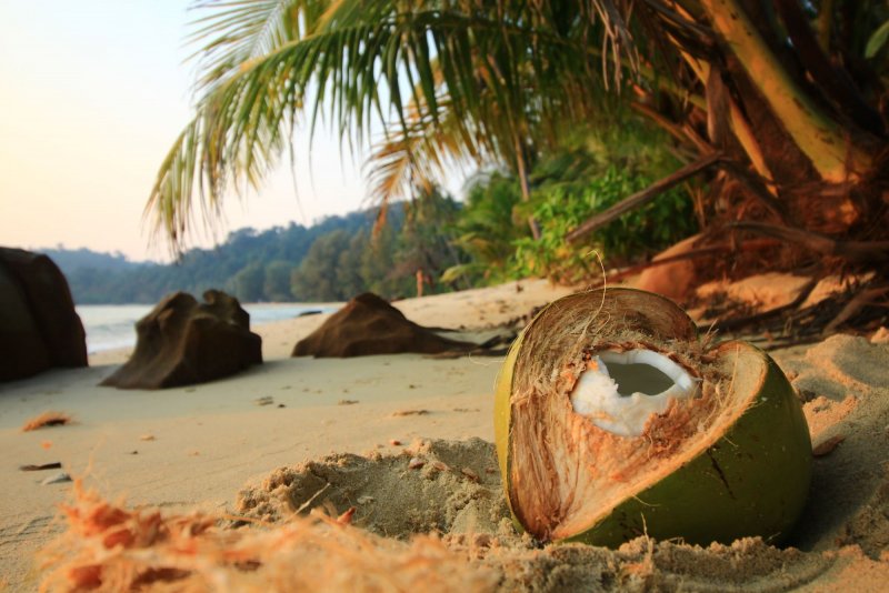 Уэст-Айленд кокосовые острова